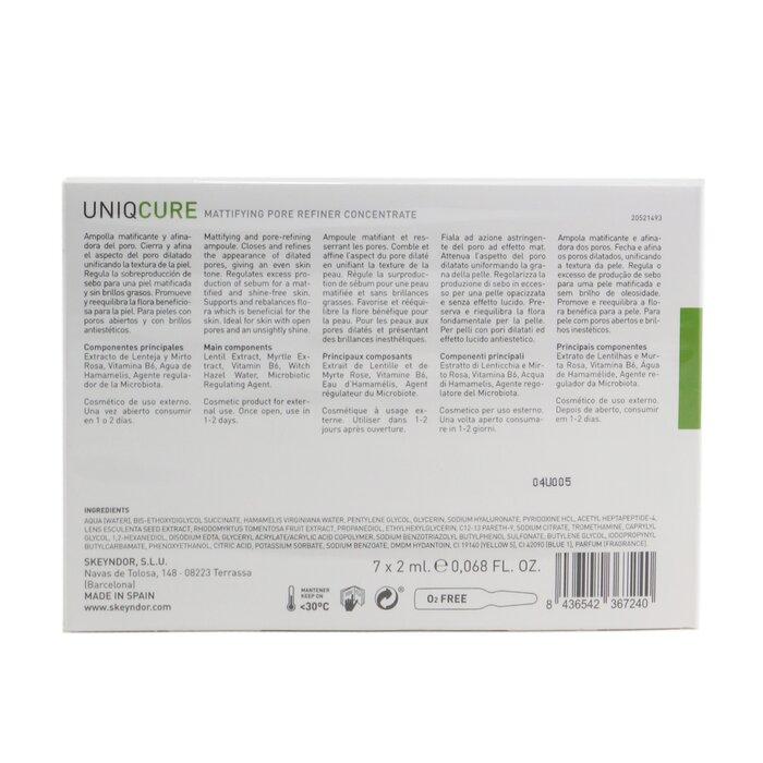 SKEYNDOR Матирующий концентрат для сужения пор