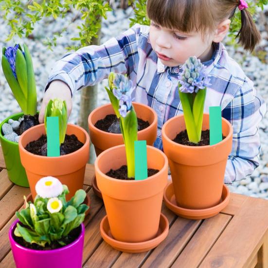 200 шт. этикетки для растений, идентификационные бирки для садовых растений, ПВХ, водонепроницаемые, легко пишущие, многоцветные маркеры для маркировки сада