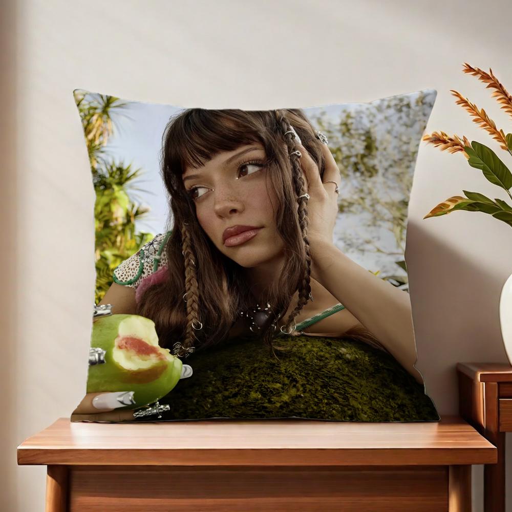 NNina singer CChubaa cushion cover For Pillow Printing Sofa Decoration Home Car Room Coffee Shop Office Nordic Simplicity