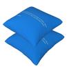 Blue Screen Of Death New 2 Pcs Square Pillowcase Pillow Cover Cushion Zip Decorative Comfort Throw Pillow For Home Sofa