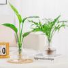 Hydroponic Flower Pot Home Vase Decoration Transparent Plastic Soilless Pot Green Pot Home Decoration