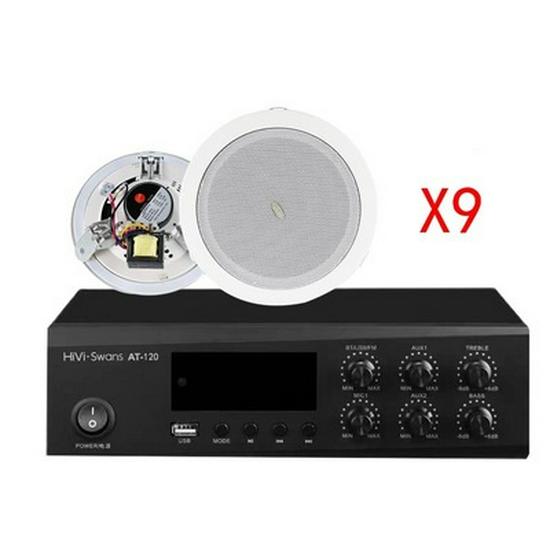 Hivi TD201/TD202/TD205/TD206 In-Ceiling Acoustic Speaker