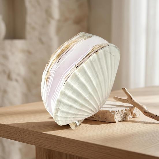 Натуральная раковина гребешка Журнал с бумагой ручной работы Пляжная тетрадь для письма и рисования Морской дневник для женщин и девочек Любителей моря