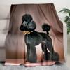 1PC Dog cute printed blanket, all season lightweight home office outdoor nap multifunctional blanket A9