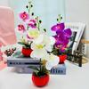 Phalaenopsis Artificial Decor With Highquality Materials For Gift And Use Event