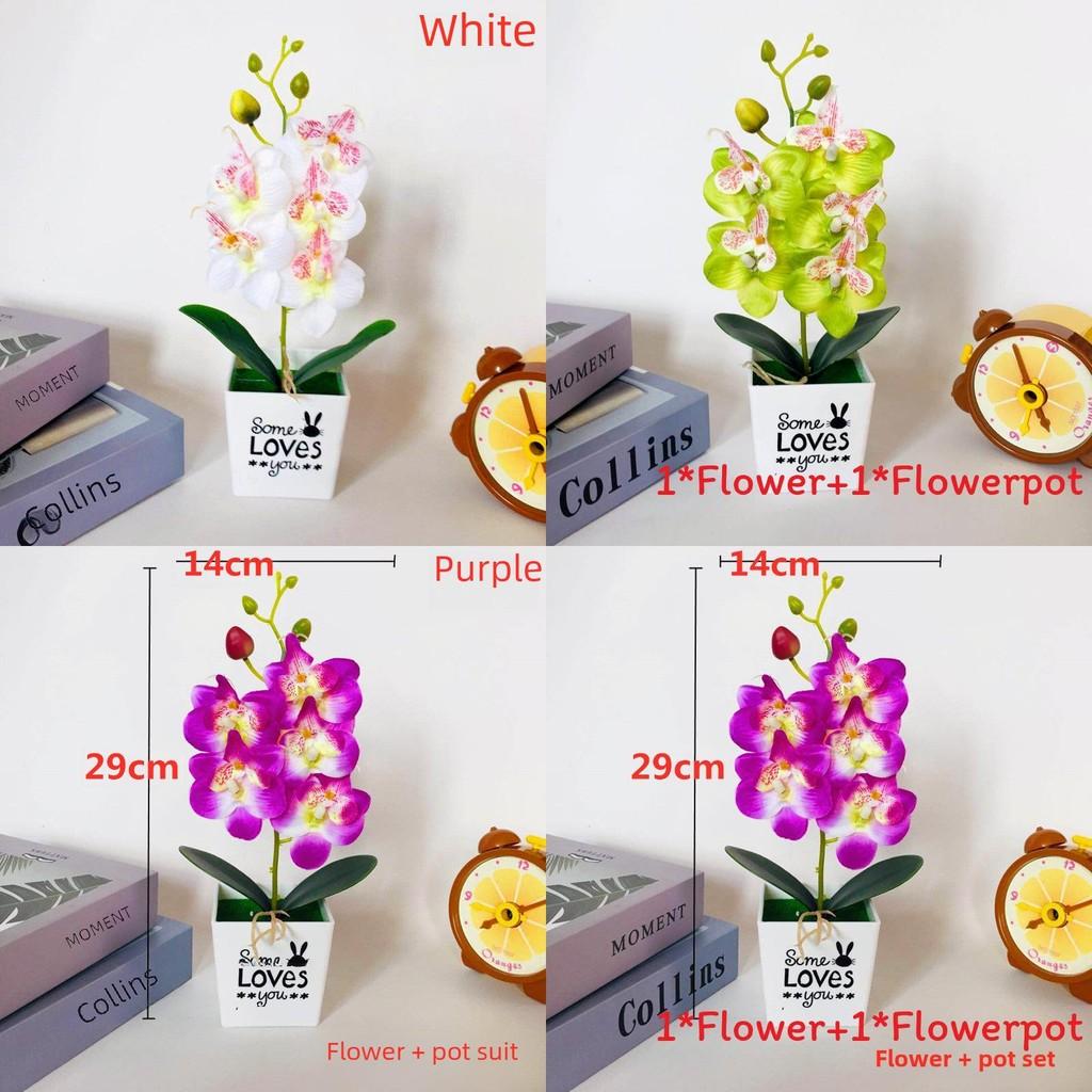 Faux Butterfly Orchid Potted Plant With Injection Molding For Living Room Decor