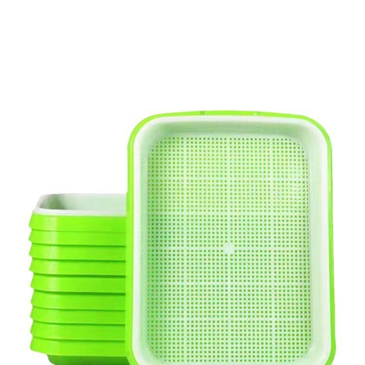 Balcony Garlic Planting Tray