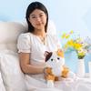 Реалистичные плюшевые игрушки кошки, мягкая набивная модель котенка, искусственная кошка, котенок, 5 цветов, реалистичные животные, для детей, девочек, праздничный подарок на день рождения