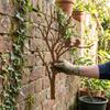Farmhouse Style Metal Tree Branch Bird Silhouette Decor  Garden Fence