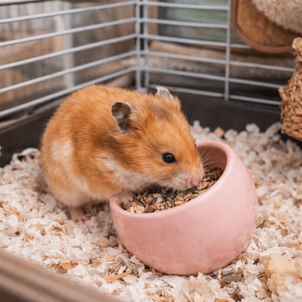 Non-Slip Hamster Food Bowl Ceramic Pet Feeding Bowl Pet Feeder Water Food Bowl For Small Pets