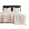 Thick Plush, Warm Double-sided Velvet Waffle Cover Blanket Jacquard Flannel Blanket with Plush Autumn and Winter Knitting