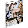 Herma Elasticated Cardboard Folder A4 Animals (Dogs)