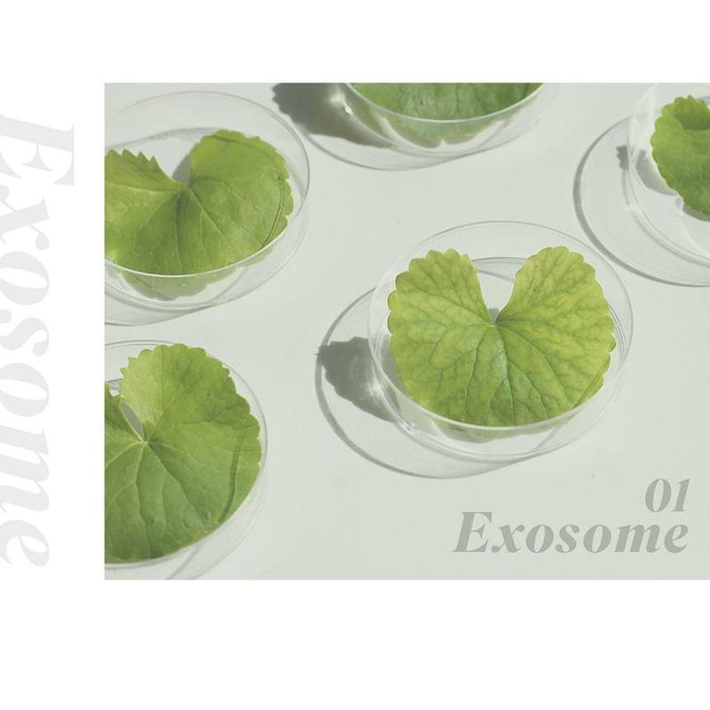 NEOGEN Крем Dermalogy High R Exosome