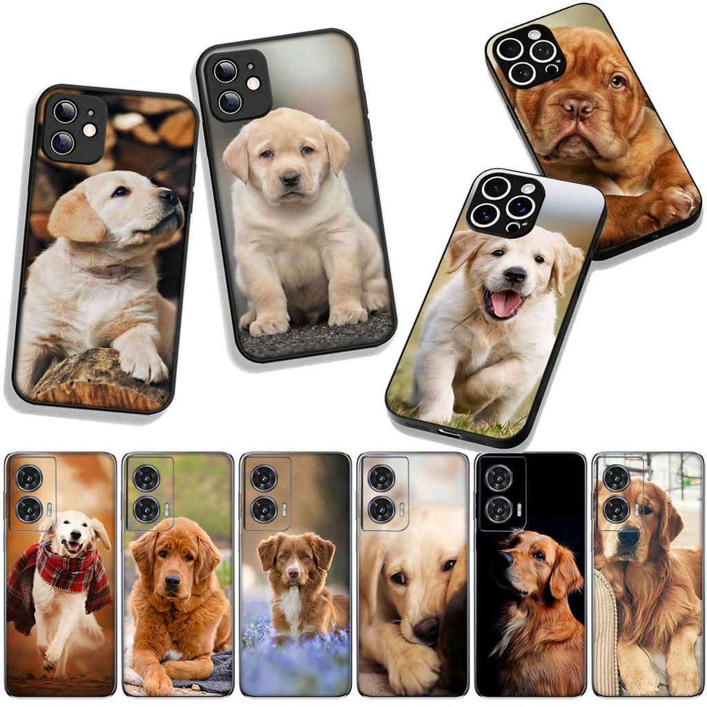 Phone Cover Animal Pet Golden Retriever Dog for Xiaomi Poco F7 F6 F8 Ultra F5 X7 X6 X5 X3 NFC M7 M6 Pro C85 C75 C65 C71 C61 Case