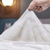 Tangna Home Textiles All-Cotton Jacquard Silk Protein Four-Season Quilt