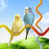 Bird Perch Parrot Toy Playful Rope Climbing PP Metal Easy Fixing Sensory Suitable for Small Parrots