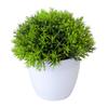 Beautiful Artificial Bonsai Vivid Portable No-Watering