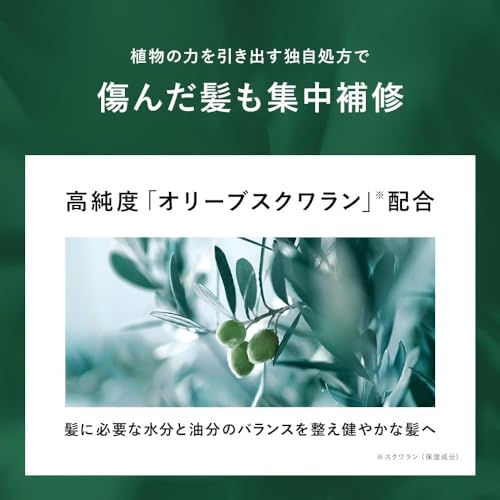 BOTANIST Hair Oil Smooth 80ml