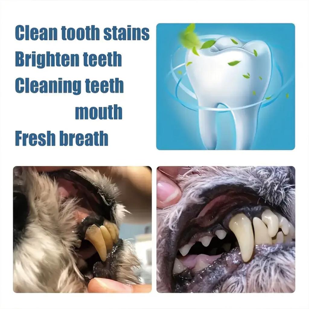 Help Prevent the Formation of Dental Calculus and Reduce Bad Breath Problems