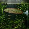 Betta Tank Accessory Hammock Leaf, Fish Resting Breeding Bed, Suction Cup Leaf Rest Spot Spawning Spot, Aquarium Decoration for Bed