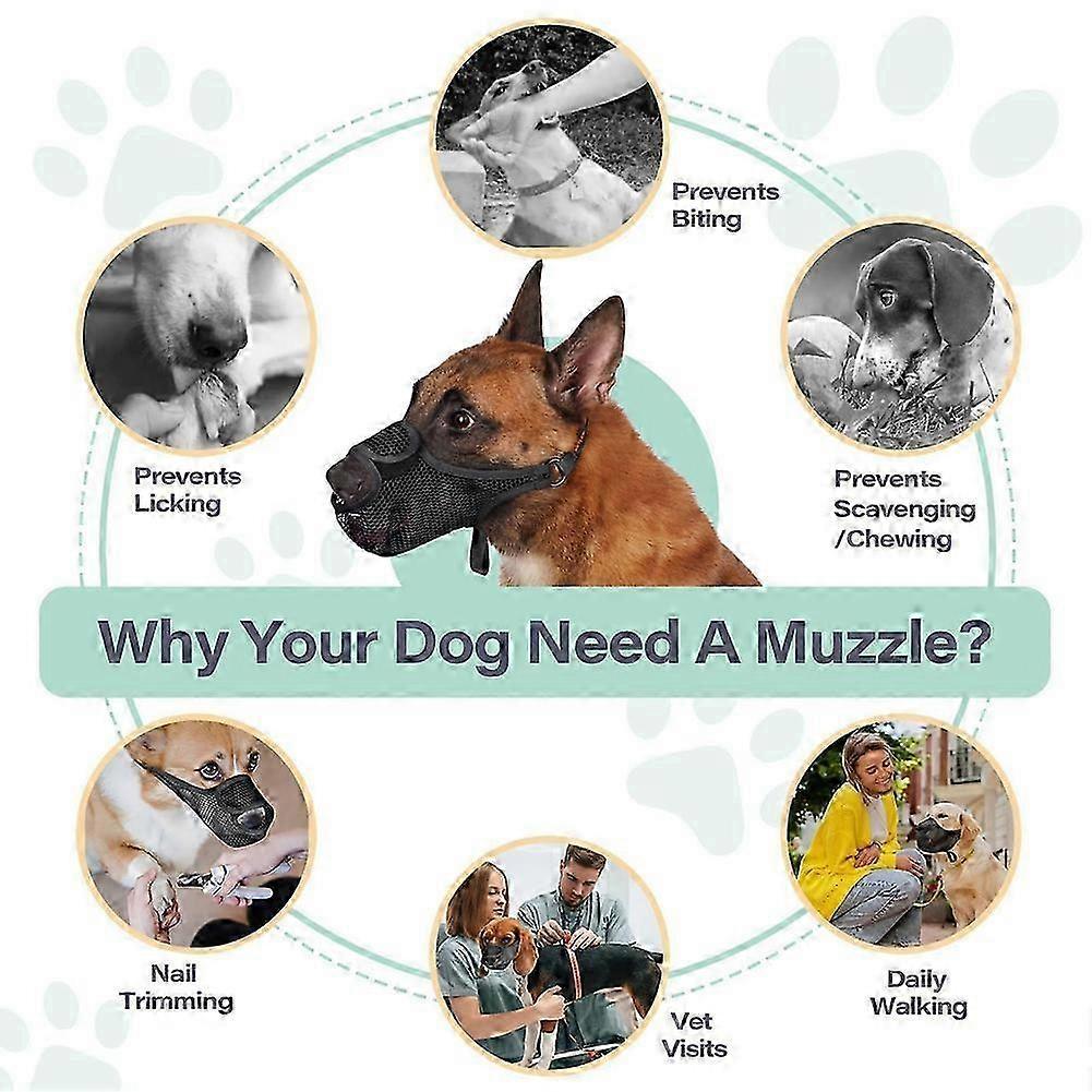 Breathable Mesh Dog Muzzle Anti-Bite Strap Dog Mouth Cage Scavenging Prevention Long Mouth Pet Mouth Mask Gray,L