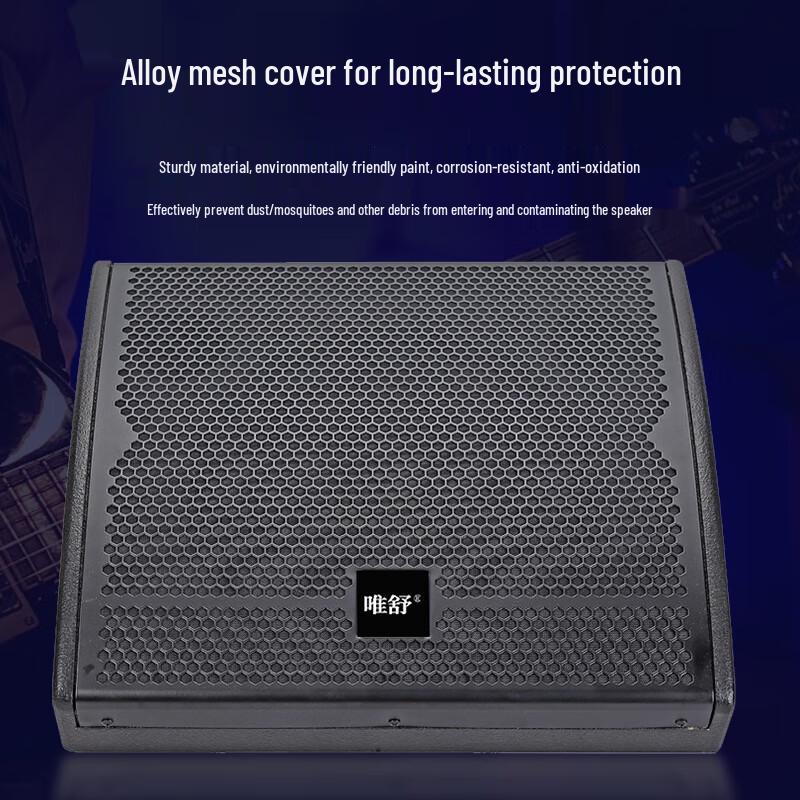 Weishu WSYG800 Single 12-inch Active Coaxial Monitor Speaker