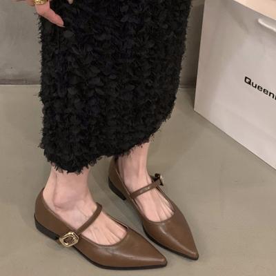 2024 Большие Новые Летние Повседневные Туфли Мэри Джейн На Плоской Подошве Женские Элегантные Острые Носки Офисные Леди Удобная Прогулочная Обувь