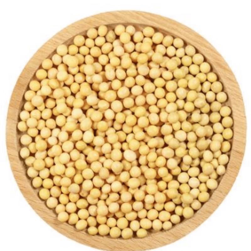 Tangyuan Premium Mixed Grains (Five Cereals)