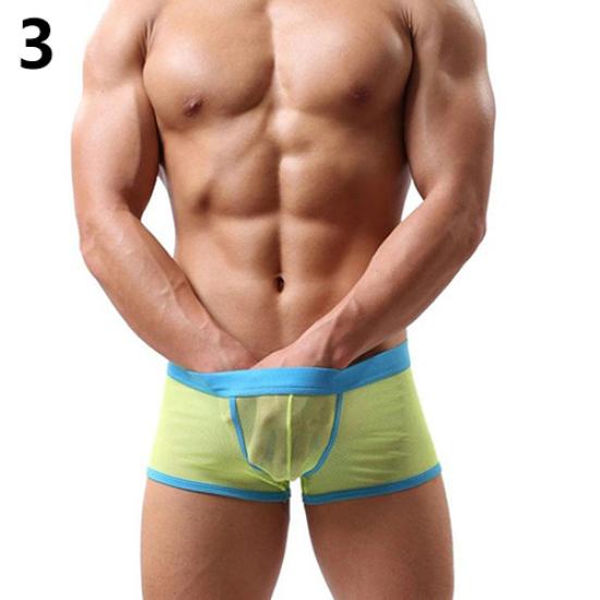 Men Shorts Elastic Waist Underwear Sexy Breathable Mesh See Through Briefs