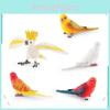 Realistic Parakeet Statues Pvc Collectible Figurines For Educational Display And Gift