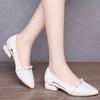 Shallow-mouthed Shoes Women's Low-heeled Spring and Autumn Shoes Joker White Thick Heel Work Shoes Anti-slip