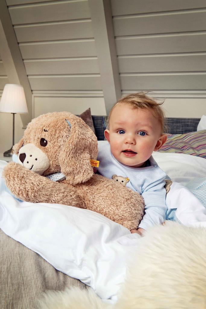 Steiff Good Night Dog Blue Plush a Cute Dog Gentle On Toy, That's Babies. [Product Code]