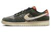Dunk Low Se Gone Fishing Радужная форель FN7523-300