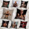 God of War Charles Oliveira Наволочка Наволочка против пылевых клещей Невидимая молния шелковистый короткий плюш Чехол на подушку для дивана