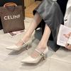 Women's Single Shoes 2024 New Spring and Autumn Temperament Classic Fashion Versatile Pointed Toe Stiletto High Heels for Women
