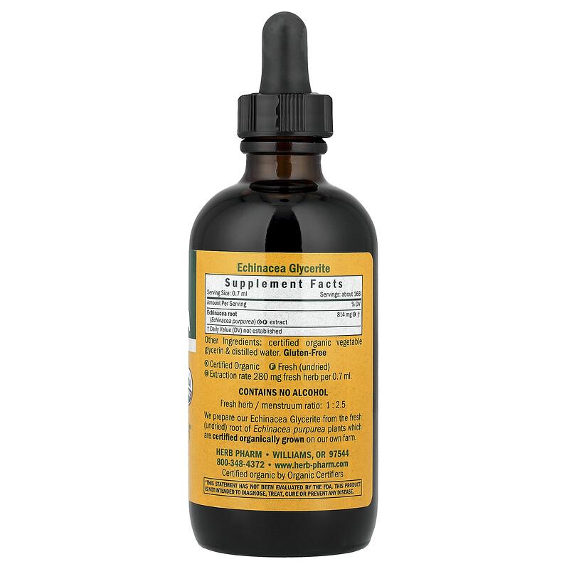 Echinacea, Alcohol-Free, 4 fl oz (120 ml)