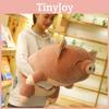 Animal Stuffed Party Pig Stuffed Animal Cute Children Sleep Girl Birthday Gift