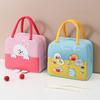 Сумка для обеда Сумка для обеда Ручная мультяшная сумка Bento Многофункциональная изоляционная сумка для холодного обеда