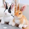 Kawaii Rabbits Plush Toy Simulation Animal Cute White Grey Bunny Doll Real Life Model Props Girls Kids Birthday Gift