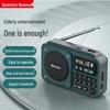 Портативное многофункциональное радио и Bluetooth-колонка Newman N123 (Китайская версия)