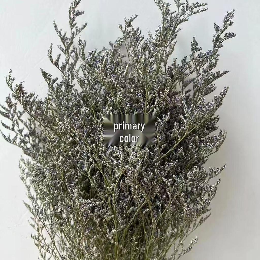 Preserved Rabbit Tail Grass Bouquet - DIY Dried Flower Decoration with Pampas Grass