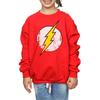 DC Comics Girls Flash Distressed Logo Sweatshirt