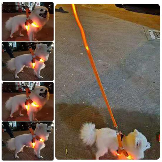 Светодиодная шлейка для питомцев, перезаряжаемая через USB, светящаяся шлейка для собак, 3 режима освещения, регулируемый светящийся в темноте жилет безопасности для ночных прогулок, средние и крупные собаки