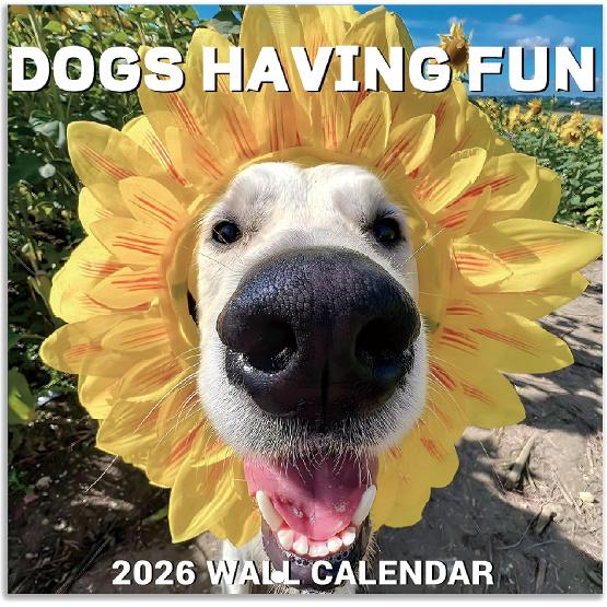 2026 Wall Calendar - JAN 2026 - DEC 2026, Funny Dog Calendar 2026, 12" x 24" Opened, 2026 Calendar, 12-Month Calendar, Funny Dog Memes Pics