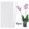 50 Sticks Acrylic Plant Stakes Orchid Flexible Durable Enhance Growth Stretchable Stable Plant Support Garden Plant Support Rack