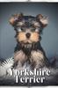 Книга Yorkshire Terrier : Dog Breed Overview and Guide