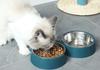 Double Bowls for Dogs Stainless Steel Feed Bowls Water Feeder Feeding Dishes Accessories for Small Dogs Cat Puppy Feeding | Dog Food