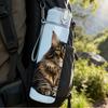 1PC Tabby Cat Fluffy Face Portrait Print 750ml Color Plastic Sports Water Bottle Leakproof Flip Straw Lid Suitable for Sports Office Home Use