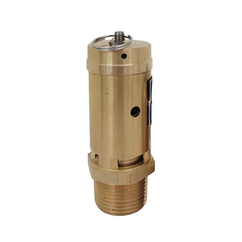 Brass Spring-Loaded Safety Valve