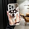 Аляскинский Хаски Милые Собаки Ударопрочный Чехол для Телефона для iPhone 17 Air 16 16E 15 Pro Max 14 Plus 13 Mini 12 Задняя Крышка Противоударный Fundas